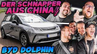 PRAKTISCH und PREISWERT? - BYD Dolphin - Gibt es einen HAKEN?