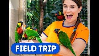 Colourful Birds in the World's Largest Indoor Free-Flying Aviary! | Caitie's Classroom Field Trip