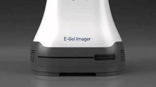 The new E-Gel® Imager: revolutionizing gel documentation