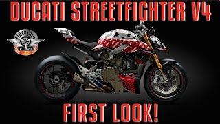 2020 Ducati Streetfighter V4 FIRST LOOK!