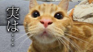 ずっと黙っていたことをお話いたします...