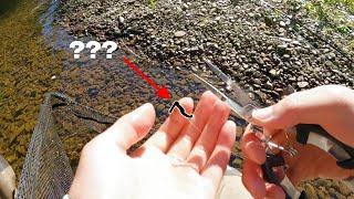 THIS "fly" NEVER fails to CATCH fish! | Fly Fishing