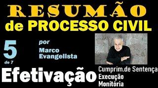 RESUMÃO de Processo Civil #5 - EFETIVAÇÃO  (Cumprimento de Sentença, Execução e Ação Monitória)