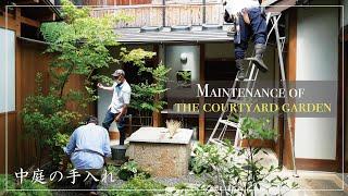 (Pro.18) Maintenance of the courtyard garden.