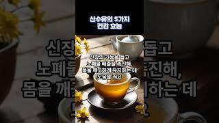 산수유의 5가지 건강 효능