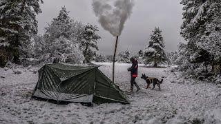 Warm Tent Camping in the Snow with My Dog | Freezing Winter Conditions, Snow, Wood Stove