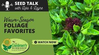 Seed Talk #94 - Warm-Season Foliage Favorites