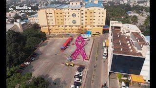 Pink Waves Through Basavanagudi