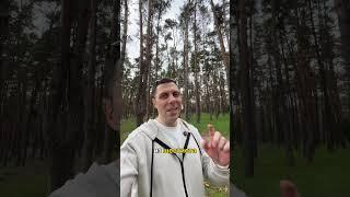 Подписчики и клиенты из блога без рекламы @gavrilenkoteam ￼