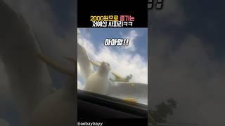 2000원으로 즐기는 저예산 사파리 #유머 #동물 #갈매기