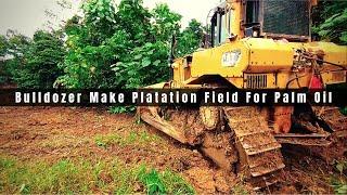 Dozer Clearing Land For plantation Field