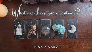 ..:: What are their true intentions? ::.. pick a card ..:: timeless tarot reading ::..