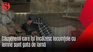 Căușenenii care își încălzesc locuințele cu lemne sunt gata de iarnă.