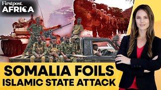 Somalia: Regional Security Forces Repulse IS Attack, Kill 8 Foreign Terrorists | Firstpost Africa