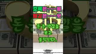 돈    색깔~~ 1