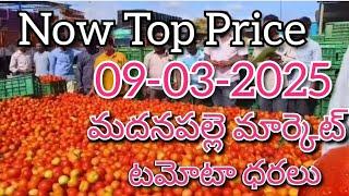 09-03-25#madanapalle tomato market price today#todaytomatoprice#madanapalle#మదనపల్లి