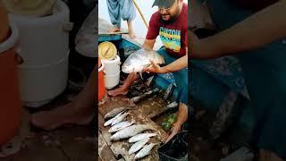 Fish hunting at indus River with friends. #Hunting #IndusRiver #fishing#1viralshort