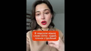 Как сказать стройный и полный по-чешски? #чешскийязык #репетиторчешского