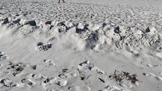 Holiday Isle, Destin Florida Beach Walk