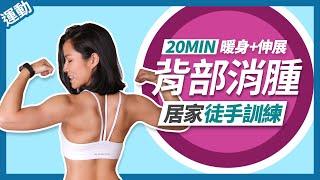 美背訓練｜20分鐘女生背肌運動｜徒手練背