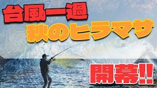 台風の後はやっぱり釣れる！秋の磯青物シーズン開幕のヒラマサ！