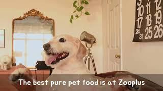 The best pure pet food is at Zooplus