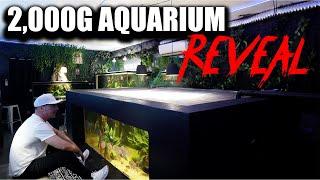 The 2,000G aquarium reveal - the king of DIY