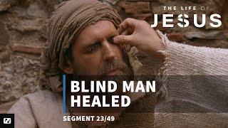 Blind Man Healed | The Life of Jesus | #23