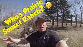 Prairie Sunset Ranch EARLY Introduction!!