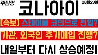 [코나아이] 의도된 개미털기 후 반등, 거기에 스테이블 코인 정책주 편입까지?! #주식 #주식투자 #웹케시 #LG씨엔에스 #유라클 #쿠콘 #테마주 #테마주추천 #급등주 #급등주추천