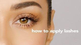 How To Apply Individual Lashes | Easy Tutorial for Beginners | Eman