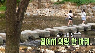 [의왕세상] 가을 하늘 아래 걷기 좋은 의왕시 명소를 소개합니다.