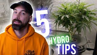 Hydroponics: 5 Tips I Wish I Knew (as a Beginner)