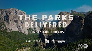 Yosemite National Park | NPCA x Yellowstone Bourbon | The Parks Delivered