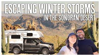 Winter Is Better in the Sonoran Desert in our Lance 825 Truck Camper | Tucson, Arizona