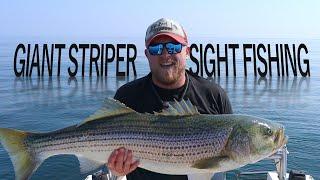 Sight Fishing Giant Striped Bass and a Mako Shark Attacked. Maine Striper Fishing