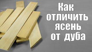 Как отличить  древесину дуба от ясеня Столярные уроки Ashwood and Oakwood