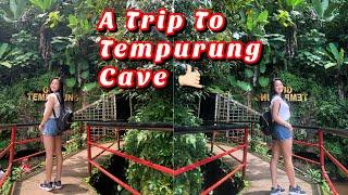 A trip to Cave Tempurung ; Ipoh || Must-eats in Ipoh