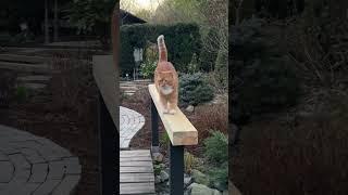 Прогулка по саду завтра на канале️ Чем закончились переделки️Новые идеи