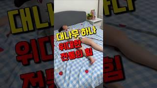 여름에 대나무 돗자리 깔면 시원하게 꿀잠 가능?
