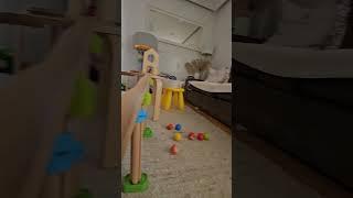 Haba Kugelbahn / Ball track