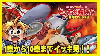 【どっちが強い総集編】ヘラクレスオオカブトやヒグマ、ホホジロザメなどのガチンコ対決10戦を一気見!勝つのはどっちだ!?