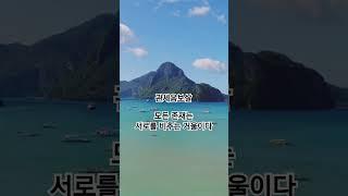 관세음보살 댓글에 소원을 작성해주세요 불교신자 채널에서 기도하시는 분들에게 행운이 찾아옵니다