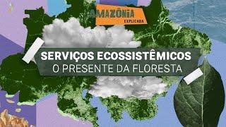 Amazônia Explicada - Serviços Ecossistêmicos: o presente da floresta #2