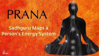 Prana - Sadhguru maps a person's energy system | Sadhguru Exclusive | Guruvin Madiyil