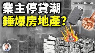 比斷供更凶猛的「停貸」潮來襲、鄭州業主發「革命宣言」，房地產終於要爆了？上海或二次封城（文昭談古論今20220713第1115期）