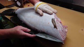 Giant Grouper Filleting - Grouper Japanese Fish Filleting Skills