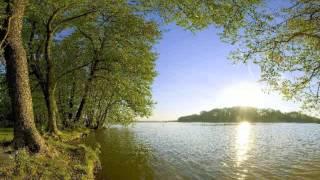 Electro Lacey - Lakeside