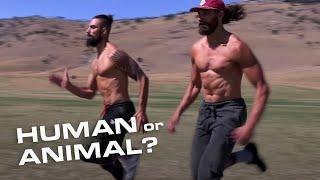 The Only 3 Primal Movements you need to be a Functional Human