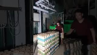 Lập trình PLC điều khiển tự động trong nhà nấm